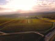 Clos du Moulin de Champagne Cattier sort de l’ombre