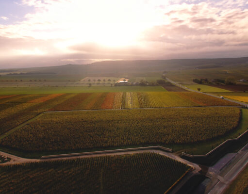 Clos du Moulin de Champagne Cattier sort de l’ombre