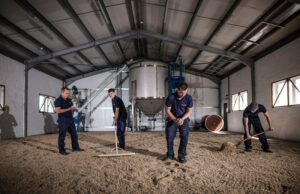 Bowmore, Laphroaig et Kilchoman… 3 distilleries d’Islay maltent elles-mêmes leur orge