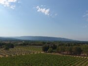 Ma sélection de 17 rosés de France (hors Provence )