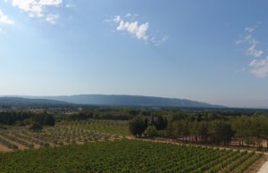 Ma sélection de 17 rosés de France (hors Provence )