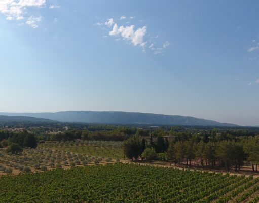 Ma sélection de 17 rosés de France (hors Provence )