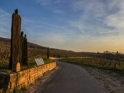 4 blancs monocépages