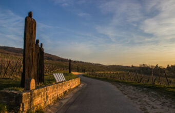 4 blancs monocépages