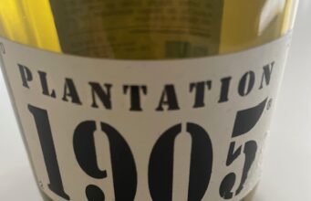 Plantation 1905… un vin extraordinaire, insolite, issu de 23 cépages