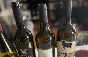 Vins de guerre et de conflits, 5 pays concernés