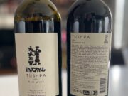 Et un jour le vin « fût »… mais où prit-il sa source ?