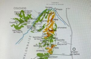 Pleins feux sur 10 domaines viticoles de la Côte Chalonnaise
