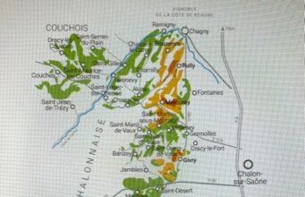 Pleins feux sur 10 domaines viticoles de la Côte Chalonnaise