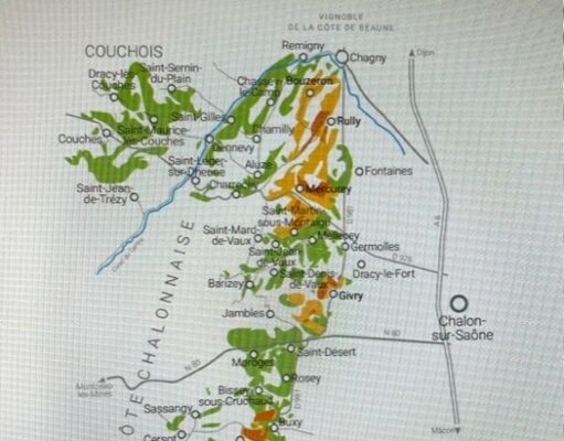 Pleins feux sur 10 domaines viticoles de la Côte Chalonnaise