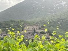 Contre les violences faites au vin !