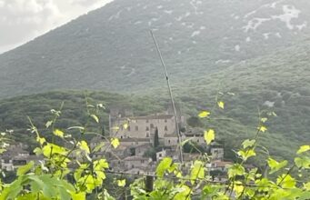 Contre les violences faites au vin !