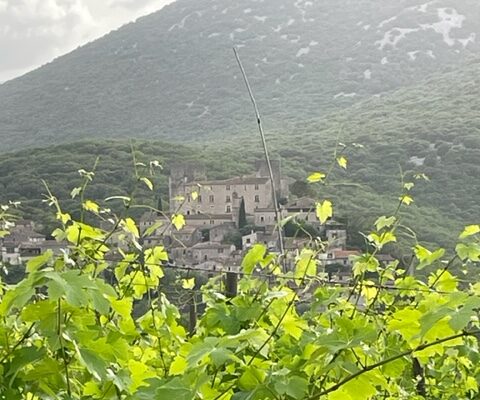 Contre les violences faites au vin !