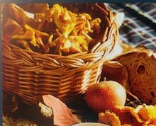 Mont d’Or AOP, l’un des derniers fromages saisonniers de France