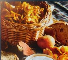 Mont d’Or AOP, l’un des derniers fromages saisonniers de France