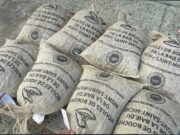 C’EST DE SAISON : Moules de Bouchot de la Baie du Mont-Saint-Michel AOP