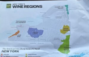 Tout savoir ou presque sur les vins newyorkais Tout savoir ou presque sur les vins newyorkais