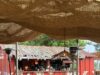 AU BAR DE LA PLAGE DE « LATECOERE » COULE LE RUM CUBAIN EMINENTE