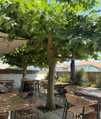 HALIOTIS, CUISINE A 4 MAINS, EXQUISE ET DE BON GOUT
